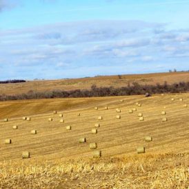 The Place Where We Live Image